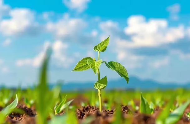 Fertiliser sector looks to AI, biologicals and low-carbon nitrogen