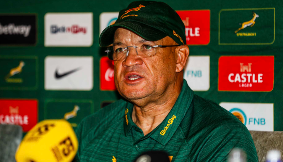Boks won't treat Pumas Test as All Blacks warm-up, says Davids
