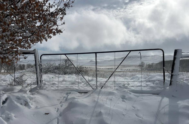 Residents on farms in the Eastern Cape awoke to a wintry landscape on Tuesday morning.