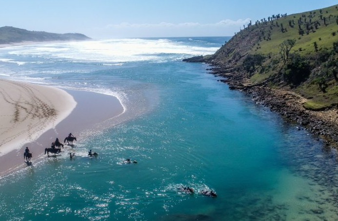 Shell has now lost the final round of a five-year legal fight over Wild Coast exploration rights.