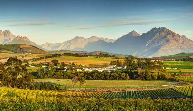 Simonsig marks 55 years of Kaapse Vonkel, South Africa's first Cap Classique