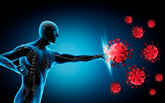 Study maps how ageing changes immune cells