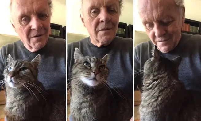 During the early Covid lockdown in March 2020, Sir Anthony Hopkins posted a short video of himself improvising at the piano for his cat, Niblo.