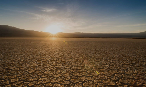 Humanity has three generations to avert sixth mass extinction