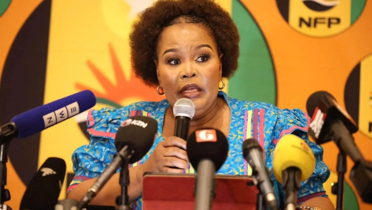 NFP chairperson Mbali Shinga.