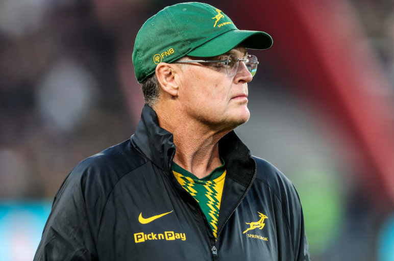 Springboks turn to Wallabies after demanding US tour